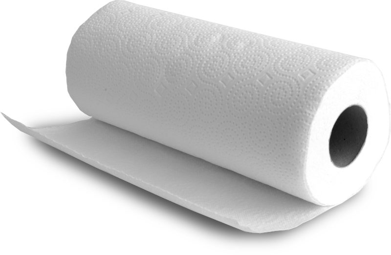 Nuova Roger Carta: Produzione di carta ad uso igienico-sanitario e prodotti di  carta ad uso domestico